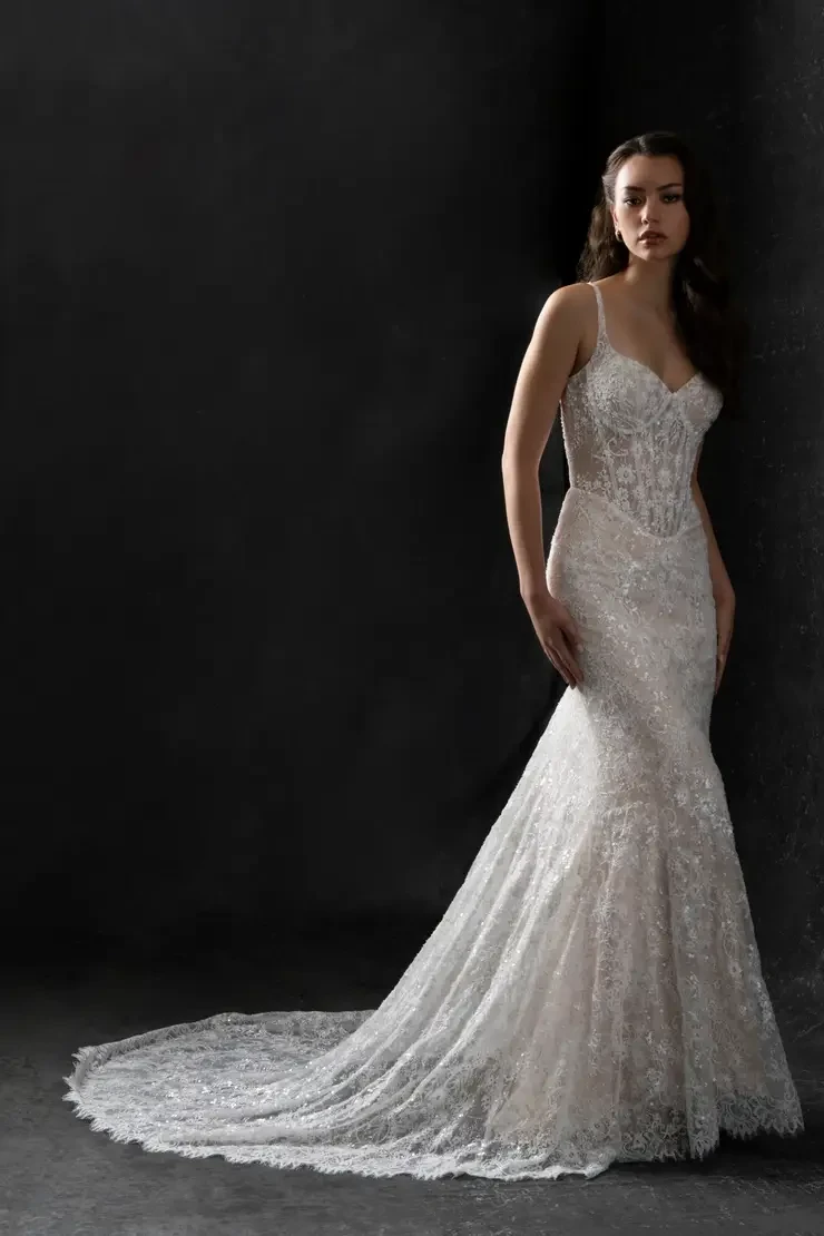 Bride in a fitted lace wedding gown with sheer corset-style bodice and long train at a Wedding