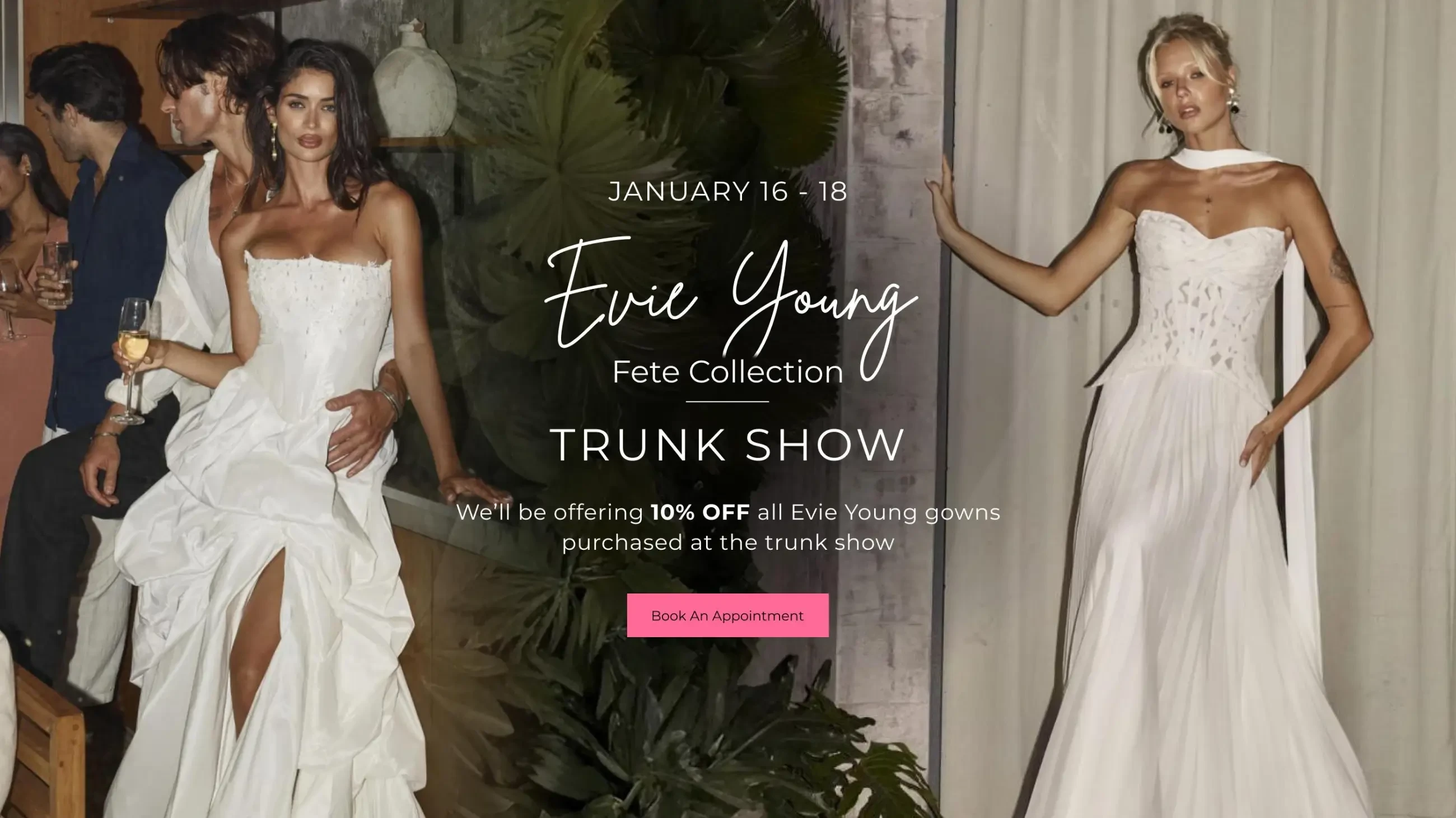 Evie Young Trunk show Banner
